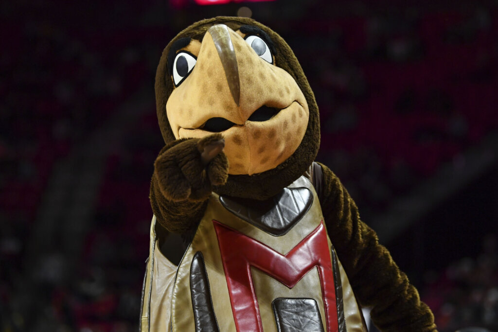 Maryland's mascot Testudo