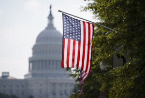 Congress Voting Bills