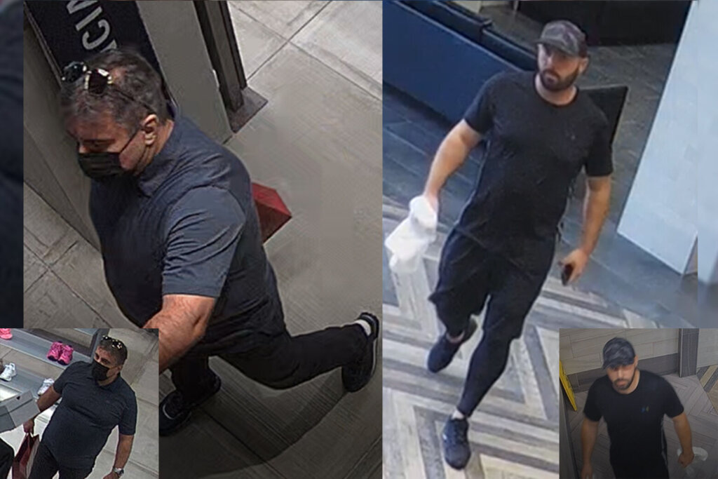 Theft suspects moco