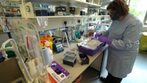 Scientists race to record genetic blueprints of all known species on Earth