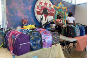 NE BACKPACKS (1)