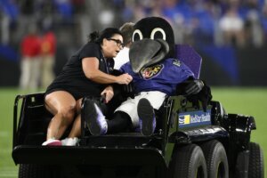 Ravens Mascot Injured