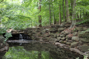 WInklerBotanicalPreserve stream