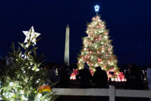 Washington National Christmas Tree