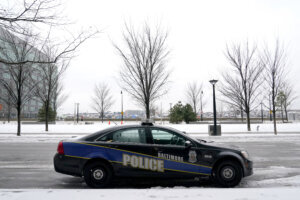 Police Fatalities Report