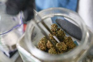 Election 2022 Marijuana