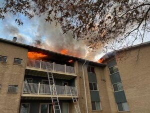 Laurel fire