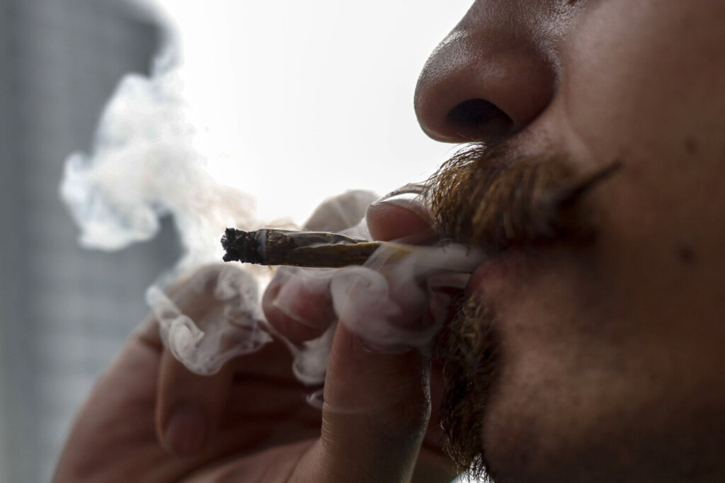 BRAZIL MARIJUANA LEGALIZATION DEMO