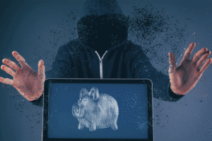 Fraud on the Internet, theft of funds from the account.
