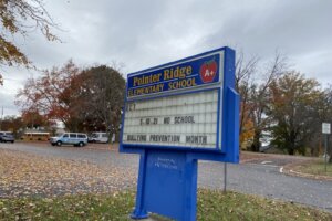 Pointer Ridge ES
