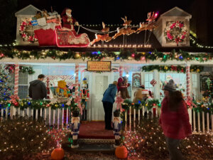 Arlington Christmas Display (3)