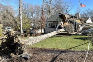 Tree in Home PG Fire&EMS
