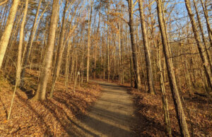 Hiking trail nova