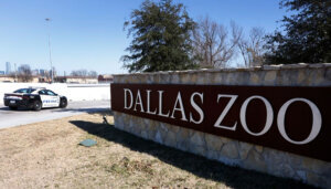 Dallas Zoo Missing Leopard