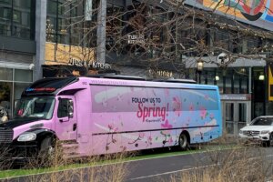 2 cherry blossom bus