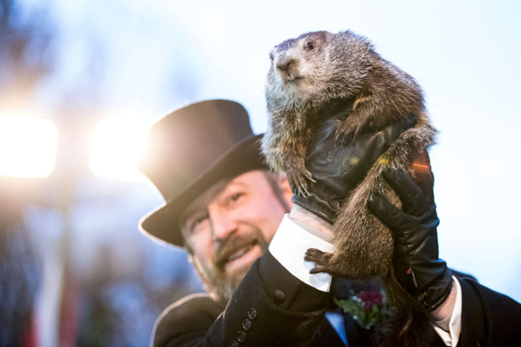 "Punxsutawney Phil" Makes Annual Winter Prediction On Groundhog Day