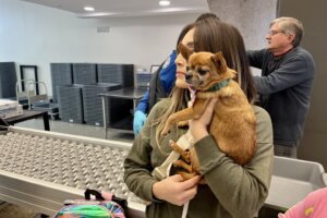 Pet screening