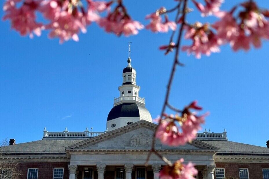 State house flowers scaled 1024x683