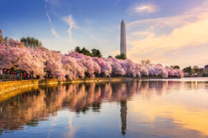 Tidal Basin