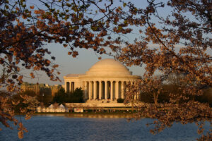 Cherry Blossom trees photographed on March 7th, 2023 (WTOP/Kate Ryan)