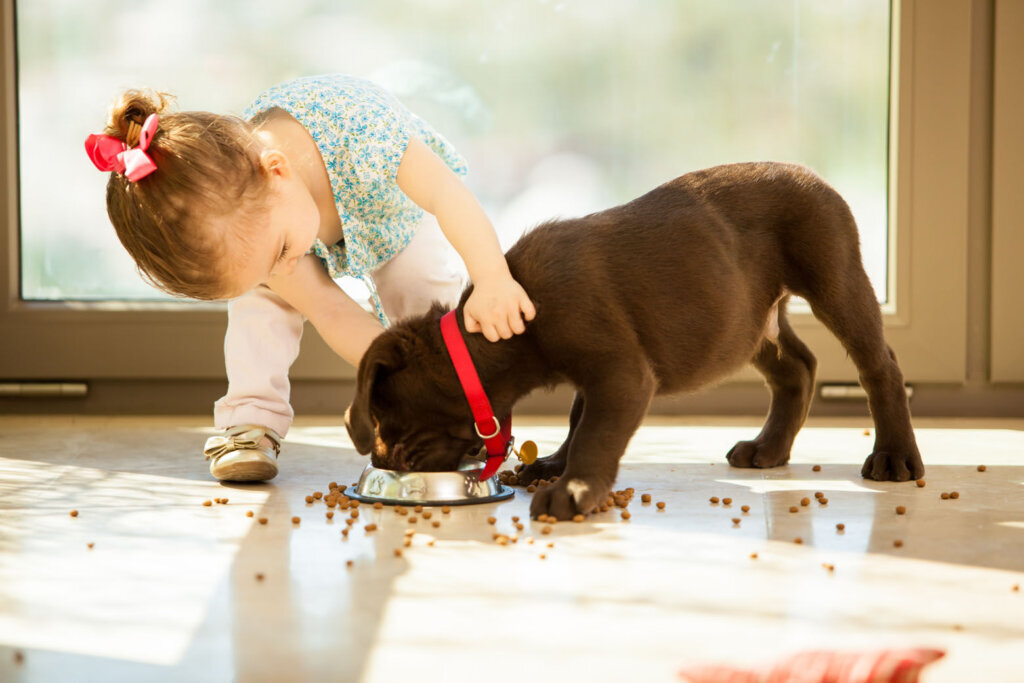 Cute little girl feeding her puppy