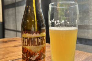 Brasserie de la Senne Allagash Zennegash Witbier