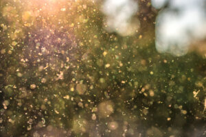Air polluted by dust and pollen