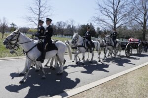 Army Horses