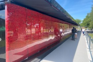 Poppy wall