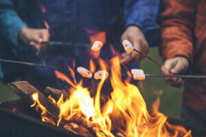 Hands of friends roasting marshmallows over the fire in a grill closeup
