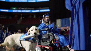 Service dog receives diploma alongside owner at college graduation