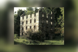 Mill insidenova