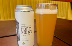 Fort point botw