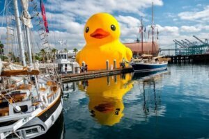 IMG 9438 worldsbiggestrubberduck CreditCraigSamborski (5)