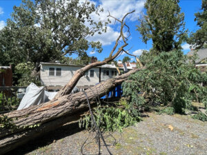 STORM JULIA (4)