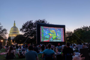 Lawn movies