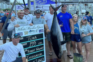 080823 tuna