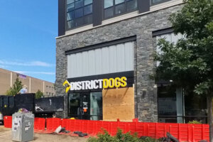 District Dogs