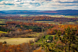 Farm in the Fall Forest