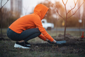Young female planting seedling in park of big city
