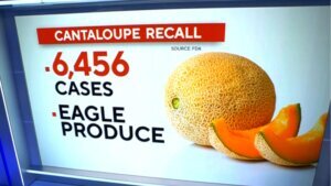 Thousands of cantaloupes recalled over possible salmonella contamination