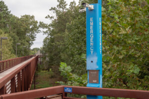 Emergency blue light pole in quiet wooden footpath area