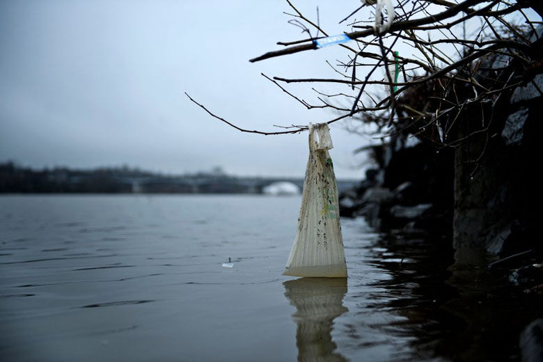 Anacostia River