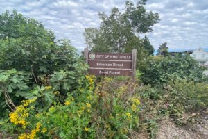 Food forest