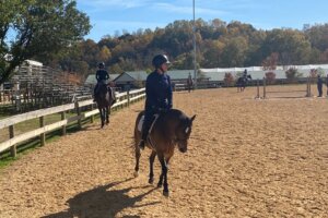 Horse show