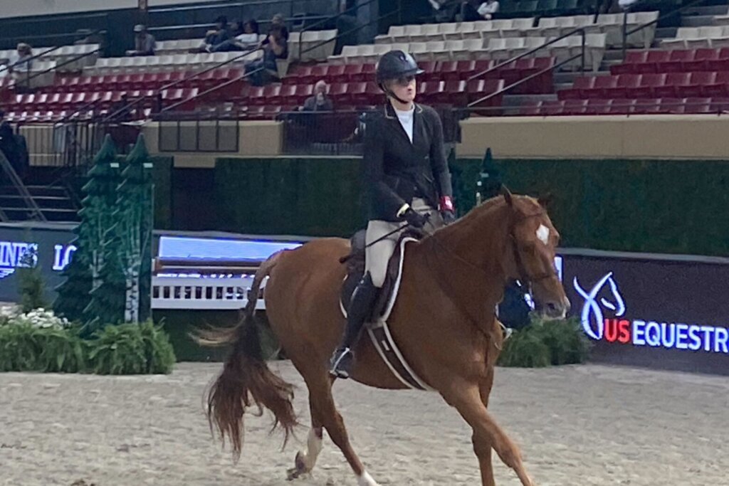 Horse show