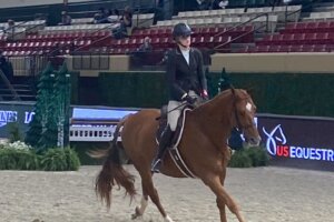 Horse show
