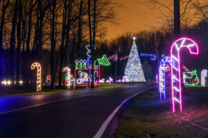 Festival of LightsPhotographed: 2015 By: Marketa Ebert