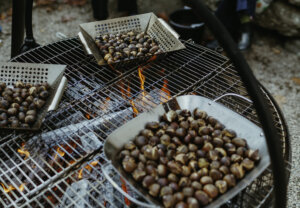 Chestnut3