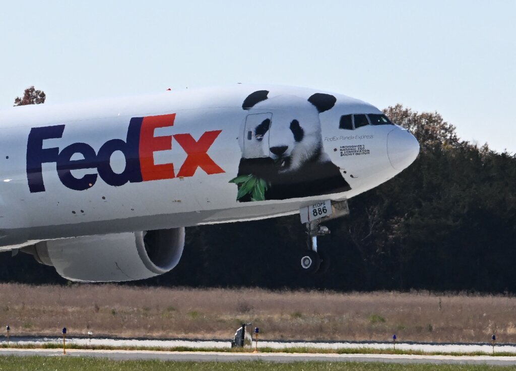 US CHINA DIPLOMACY PANDA